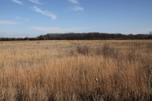 Minnesota Prairies