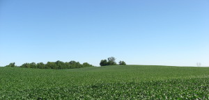 Becker, Minnesota header image of Soybean farm.